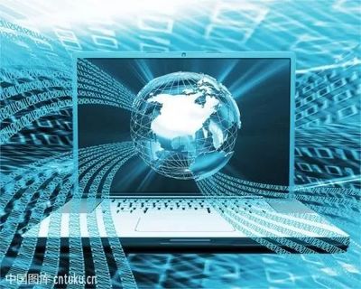 计算机信息技术 基础知识与专业英语提升的得力助手